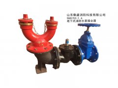 水泵接合器SQA150